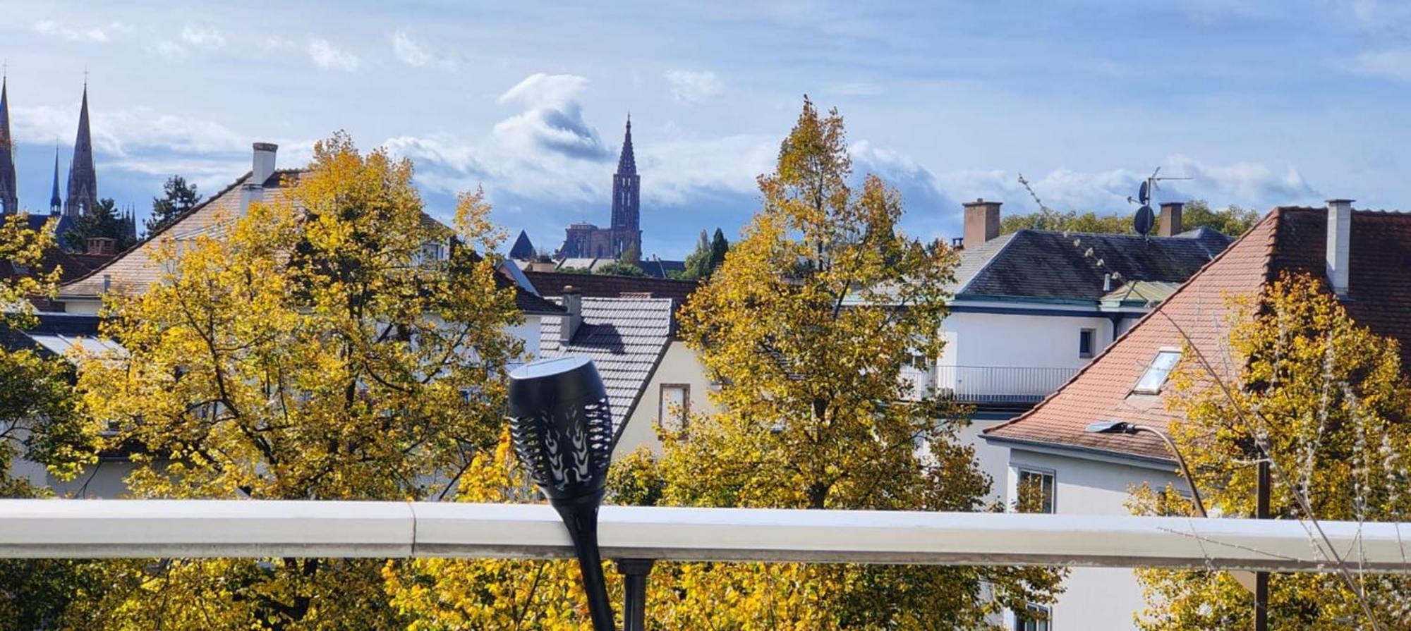 Spacious Flat With Terrace And Cathedral View Appartement Strasbourg
